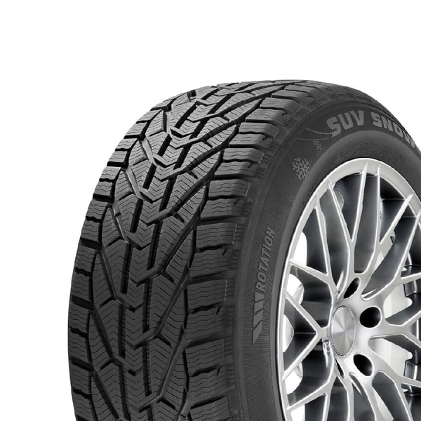 RIKEN S-SNOW 255/50 R20 109V XL